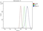 DNAJC11 Antibody in Flow Cytometry (Flow)