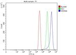 WDR44 Antibody in Flow Cytometry (Flow)