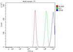 DPH5 Antibody in Flow Cytometry (Flow)