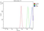 DPH5 Antibody in Flow Cytometry (Flow)