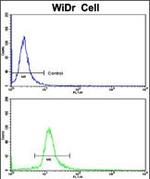 DDX53 Antibody in Flow Cytometry (Flow)