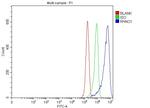 C12orf32 Antibody in Flow Cytometry (Flow)
