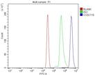 CCDC115 Antibody in Flow Cytometry (Flow)