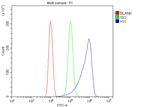 HYI Antibody in Flow Cytometry (Flow)