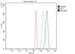 ARL6IP6 Antibody in Flow Cytometry (Flow)