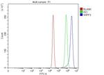CR16 Antibody in Flow Cytometry (Flow)
