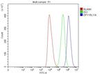 DPY19L1 Antibody in Flow Cytometry (Flow)