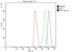 DPY19L1 Antibody in Flow Cytometry (Flow)