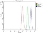 TRIM67 Antibody in Flow Cytometry (Flow)