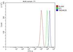 TMEM52B Antibody in Flow Cytometry (Flow)