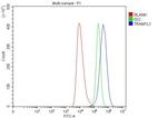 TRAM1L1 Antibody in Flow Cytometry (Flow)