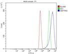 Septin 3 Antibody in Flow Cytometry (Flow)