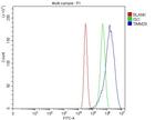 C19orf52 Antibody in Flow Cytometry (Flow)