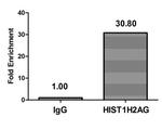 Mono-methyl-HIST1H2AG (Lys9) Antibody in ChIP Assay (ChIP)