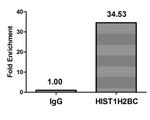 Acetyl-HIST1H2BC (Lys108) Antibody in ChIP Assay (ChIP)