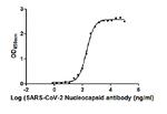 SARS-CoV-2 Nucleocapsid Antibody in ELISA (ELISA)