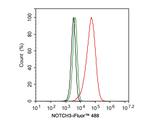 NOTCH3 Antibody in Flow Cytometry (Flow)