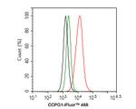 CCPG1 Antibody in Flow Cytometry (Flow)