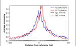 RFX5 Antibody in ChIP Assay (ChIP)