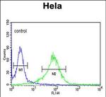 LUM Antibody in Flow Cytometry (Flow)