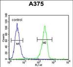 LUM Antibody in Flow Cytometry (Flow)