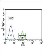 PCSK2 Antibody in Flow Cytometry (Flow)