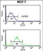 POLDIP2 Antibody in Flow Cytometry (Flow)