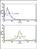 ErbB2 (HER-2) Antibody in Flow Cytometry (Flow)