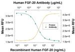 FGF20 Polyclonal Antibody