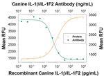 IL-1 beta Polyclonal Antibody