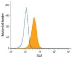 CD89 Polyclonal Antibody