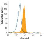 CEACAM3 Polyclonal Antibody