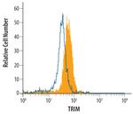 TRIM Polyclonal Antibody