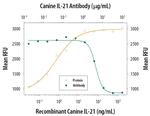 IL-21 Polyclonal Antibody