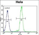 B-Raf Antibody in Flow Cytometry (Flow)