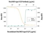 Viral MCV type II Polyclonal Antibody