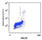 Phospho-Histone H3 (Thr11) Antibody in Flow Cytometry (Flow)