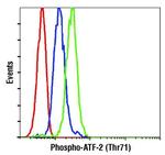 Phospho-ATF2 (Thr71) Antibody in Flow Cytometry (Flow)