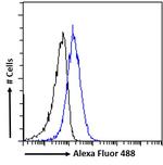 Mtmr9 Antibody in Flow Cytometry (Flow)