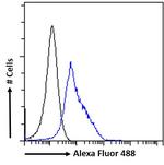 ELMO2 Antibody in Flow Cytometry (Flow)