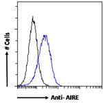 AIRE Antibody in Flow Cytometry (Flow)