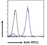 FSTL1 Antibody in Flow Cytometry (Flow)