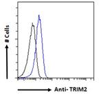 TRIM2 Antibody in Flow Cytometry (Flow)