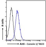 Coronin 1A Antibody in Flow Cytometry (Flow)