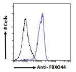 FBXO44 Antibody in Flow Cytometry (Flow)