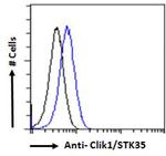 STK35 Antibody in Flow Cytometry (Flow)
