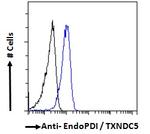 TXNDC5 Antibody in Flow Cytometry (Flow)