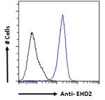 EHD2 Antibody in Flow Cytometry (Flow)