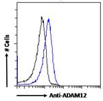 ADAM12 Antibody in Flow Cytometry (Flow)