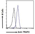 PSMD2 Antibody in Flow Cytometry (Flow)
